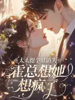 太太挺孕肚消失，霍总想她想疯了